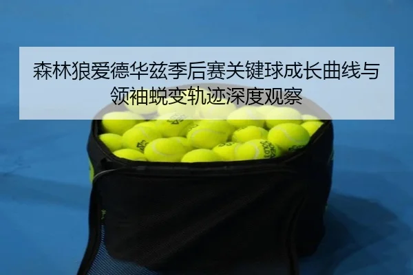 森林狼爱德华兹季后赛关键球成长曲线与领袖蜕变轨迹深度观察