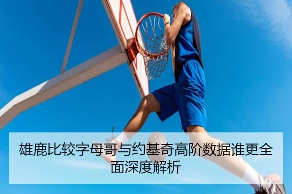 雄鹿比较字母哥与约基奇高阶数据谁更全面深度解析